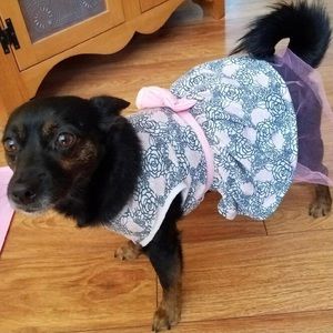 Rose Design with Bow accent Doggie Dress